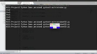 Tkinter - GUI Example Multiple Display Frames