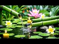Relaxation Music: Bamboo Water Fountain + Healing Piano 🌿 Sleep Music, Meditation and Nature Sounds