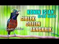 Download Lagu DAHSYAT ! KONIN GACOR FULL ISIAN TEMBAKAN JANGKRIK-CIBLEK-CILILIN SPEED RAPAT COCOK BUAT MASTERAN