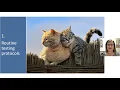 New AAFP Guidelines for FeLV and FIV 5 critical take-aways - webcast