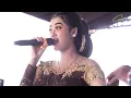 Download Lagu NANDA SARI - KEMBANG PROBOLINGGO - CAKRAWALA MUSIC DIGITAL