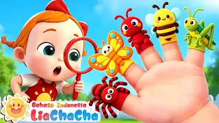Lagu Jari Serangga 🐞🦋| Lagu Jari🖐🏻| Lagu Serangga | Lagu Anak-anak | LiaChaCha Bahasa Indonesia