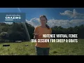 Nofence Q A Session for sheep goat virtual fence