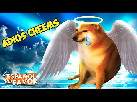 Cheems el perro más querido DE INTERNET, ha partido.