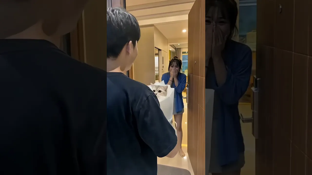 #bts