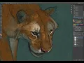 Aaron Blaise paints a tiger in Photoshop Cs6