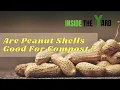 Experts Answer Are Peanut Shells Good For Compost