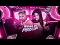 MC MARLEY E MC CAROL - NOVINHO DO PIROCÃO - ELE E NOVINHO - REMIX BREGA FUNK