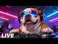 Download Lagu Turbo-Charge Clubmusik 🎶 DJ-Musik 24/7 Live | Nonstop Beats, Tanzen heute Abend \u0026 Party-Vibes