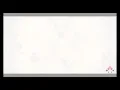 CrossCode Secret Boss