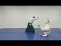 Aikido Basic Techniques: Tsuki - Kokyu Nage