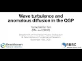 Wave turbulence and anomalous diffusion in the QGP by Prof Yacine Mehtar-Tani
