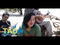 Download Lagu Tao - Sampaguita | Kuerdas Acoustic Reggae Version