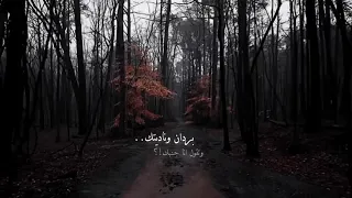 بردان وناديتك وتقول انا جنبك       عال  م الحزن  دندنها