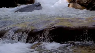 قل لو كان البحر مداد لكلمات ربي للشيخ الطنطاوي 