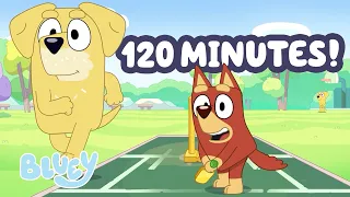 Rusty, l'ami de Bluey, joue au cricket !💙🫨🏏 | Bluey Français Chaîne Officielle