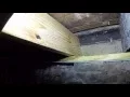 Sill plate replacement