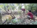 Download Lagu Belusukan di hutan lari menghidar bertemu buaya bersama bang iwan