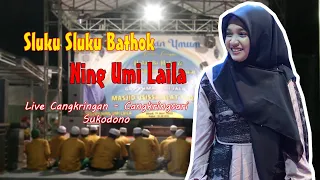 Download NING UMI LAILA // Sluku Sluku Bathok // Live Cangkringan - Cangkringsari - Sukodono MP3