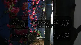من جاء بالحسنة    أواخر سورة الأنعام    عبدالعزيز المسروري دندنها