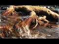 Ricardo Arjona - Fuiste Tú ( Letra // Lyrics )