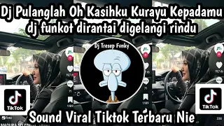 dj pulanglah oh kasihku kurayu kepadamu dj funkot dirantai digelangi rindu sound viral tiktok nie