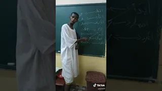 القط كات و الفار رات 