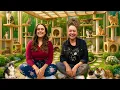 Download Lagu Kleine Seelen auf der Suche nach einem Zuhause – Unser Tag in einer Katzenstation 🐾✨