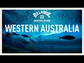 Download Lagu Western Australia | Billabong Adventure Division