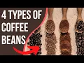 4 Types Of Coffee Beans You NEED To Know Coffee Buzz Club