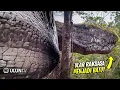 Download Lagu Di Temukan Bentuk Ular Raksasa Menjadi Batu Di thailand! Ternyata