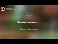 Robbie Williams & Miss Monique - Beauty In Us (Lyrics)