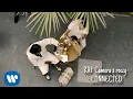 RAF Camora x reezy - CONNECTED