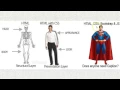 Basics of Java Script Learn with fun