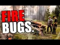 It s TOO LATE Now - How Fires AND Bureaucracy Are DESTROYING Our Forests