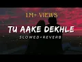 Download Lagu TU AAKE DEKHLE ll SLOWED+REVERB ll KING