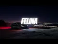 Hector Y Tito - Felina #musica #regueton #felina