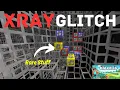 How to Get Xray in Bloxd io Bloxd io