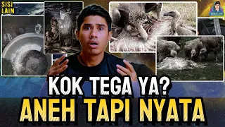 BERANI GA LIHAT RITUAL PEMAKAMAN ANEH INI? TOWER OF SILENCE