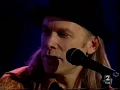 Elliot Murphy - Wild horses Unplugged