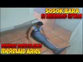 Lagu Sosok Bara si mermaid hitam berniat mencelakai mermaid ariel | mermaid in love