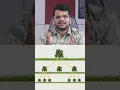 What is a Tree Data Structure Tree Data Structure Explained in 1 Minute Introduction to Trees