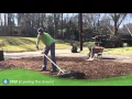 How to lay sod in your yard