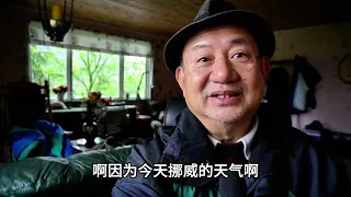 鸡窝里的赢