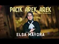 Download Lagu Elsa Mayora - Pacik Arek Arek (Official Music Video) - Remix Minang Timur Terbaru 2025