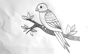 How to draw parrot drawing Parrot Drawing Easy Parrot Drawing Easy Step By Step