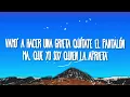 Baby Rasta y Gringo & Plan B - Ella Se Contradice