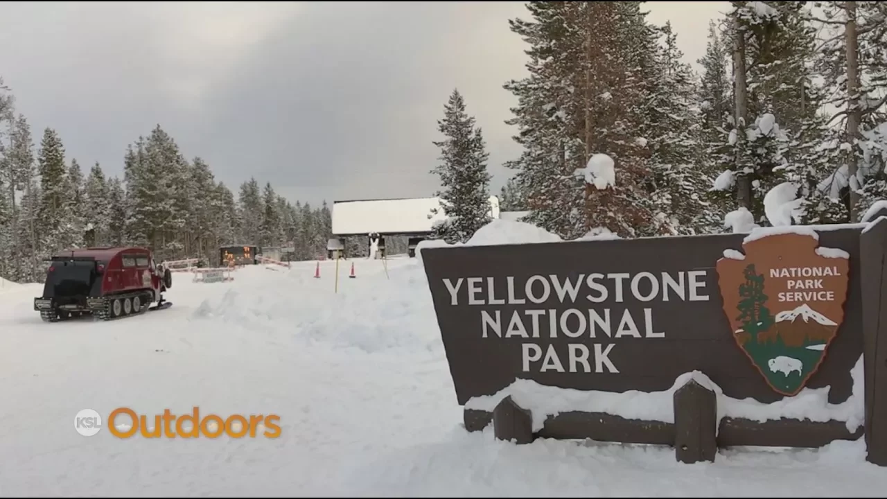 Yellowstone National Park Vacation Travel Guide | Expedia