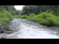 Download Lagu Suara Alam Air Sungai Jernih untuk Menenangkan Pikiran dan Tubuh #channelrelaksasi