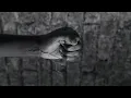 Bleed From Within - A Hope In Hell [TRADUÇÃO PT-BR]